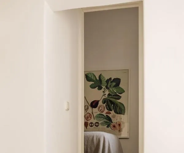 Kır Evi Hospedaria *